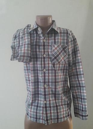 Рубашка от zara kids в идеале👍