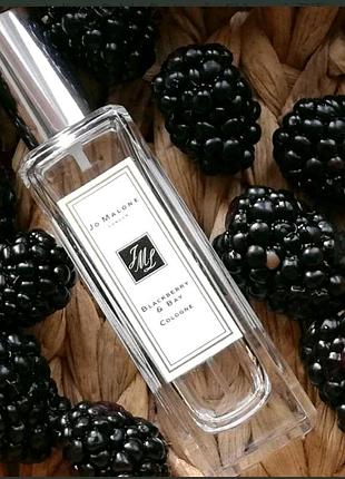 Женский одеколон jo malone blackberry & bay объём 30ml1 фото