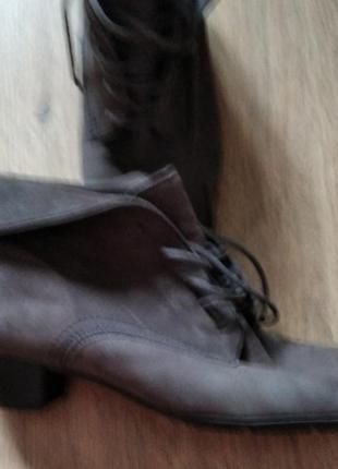 Ботинки gabor2 фото
