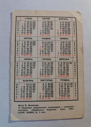 Календарь карманный календарик советский ссср срср 1985 природа2 фото