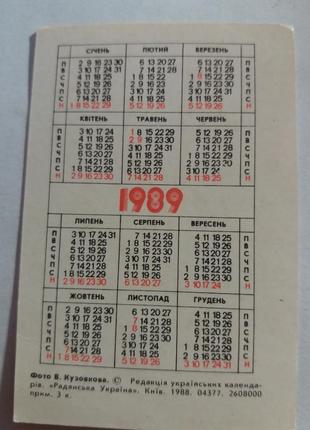 Календарь карманный календарик советский ссср срср лошадь конь2 фото