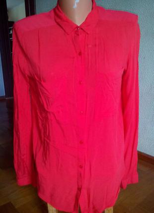 Сорочка блузка червона 8-101 фото