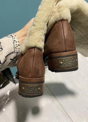 Сапоги ugg2 фото