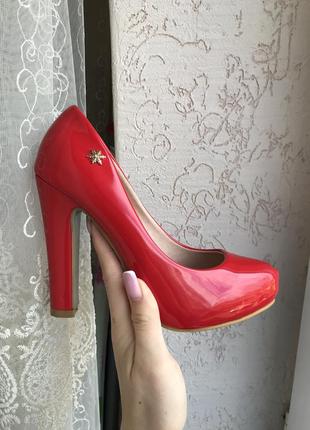 Туфлі