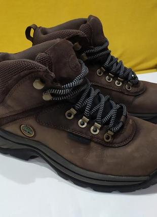 Черевики timberland