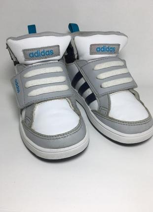 Кросівки adidas 24р.3 фото