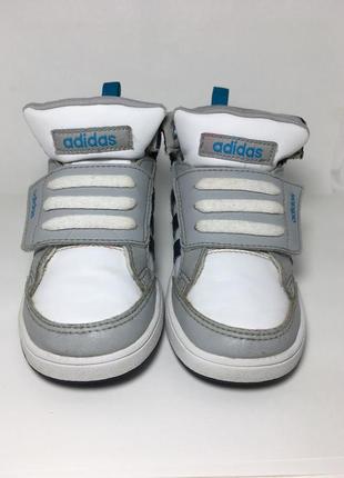 Кросівки adidas 24р.4 фото