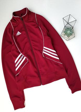 Мастерка кофта на молнии adidas team performance