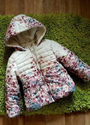 Демісезонна куртка, демі куртка, весняна куртка f&g