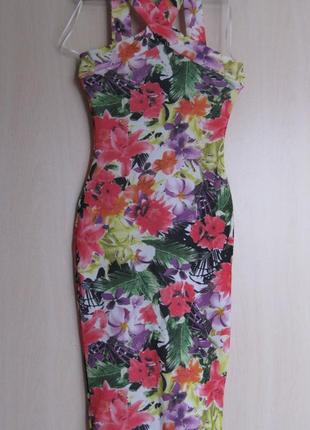 Яркое платье с цветочным принтом, в обтяжку, bebo, англия, 8uk, км08673 фото