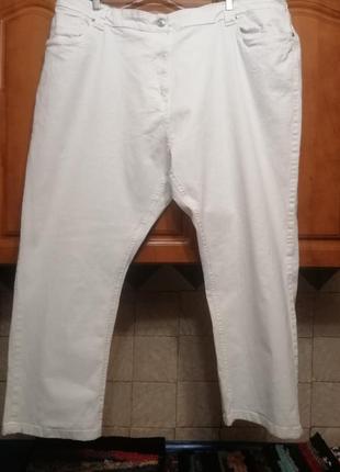 Штани жіночі