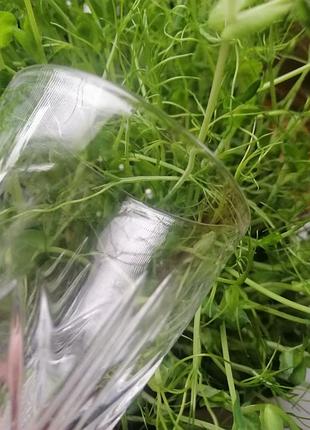 Стаканы хрусталь 3