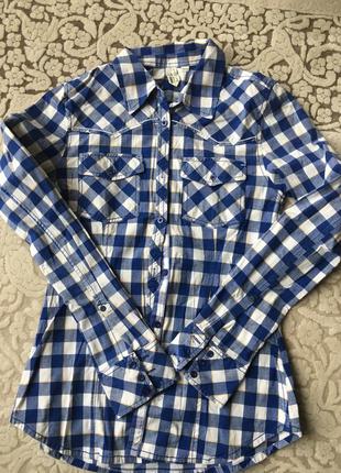 Сорочка в клітку