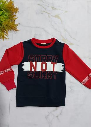 Демисезонный свитшот для мальчиков 🌿