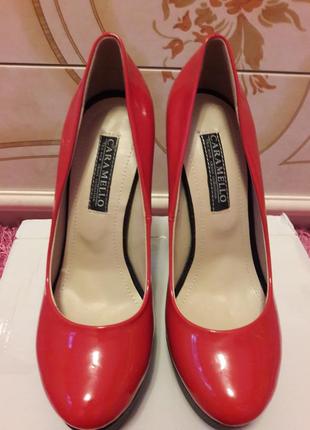 Модельні туфлі🔥🔥🔥