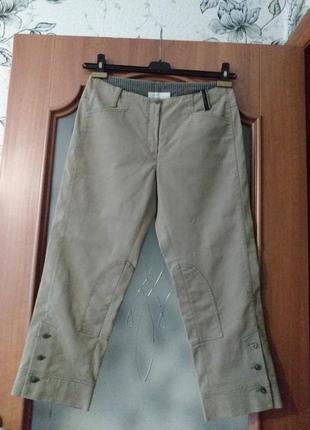 Annette gortz  бриджи