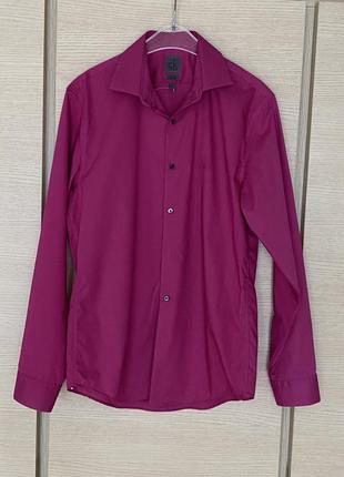 Сорочка чоловіча яскрава соковита calvin klein розмір м або 39 або 15,5