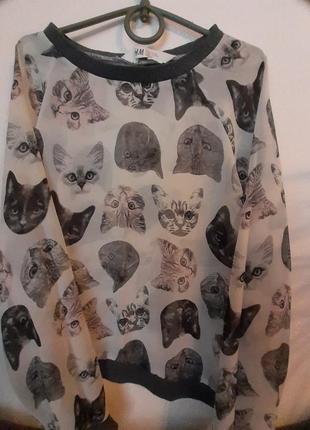 H&m шифонова кофточка