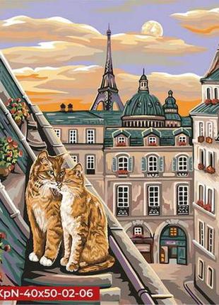 Bs51773 кошачья нежность в париже картина по номерам