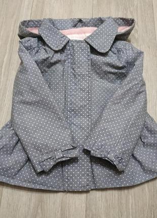 Курточка вітровка