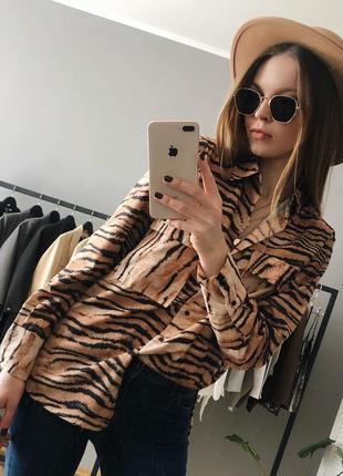 Сорочка з тигровим принтом