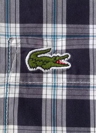 Lacoste рубашка оригинал (m-l)2 фото