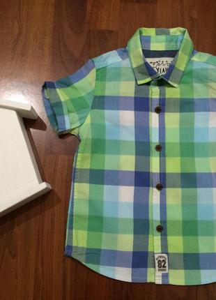 Рубашка , тенниска 12-18 next