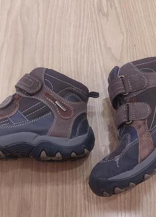 Зимовим чобітки ecco 2