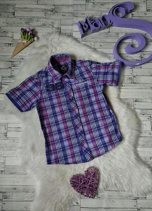 Рубашка see junior на мальчика в клетку с коротким рукавом