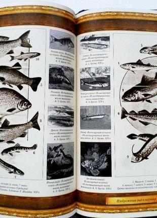 Російська рибалка. під редакцією в. п. бутромеева. подарунковий альбом4 фото