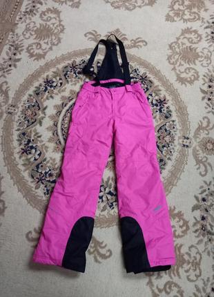 Лыжные брюки