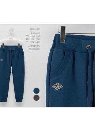Брюки спортивные (с начесом) для мальчика шр429 бемби-осень