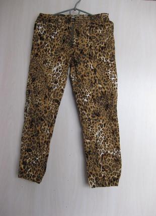 Брюки-джинсы укороченные леопардовые, км0873, штаны