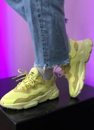 Кросівки жіночі adidas