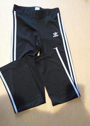 Спортивный костюм adidas спортивний костюм