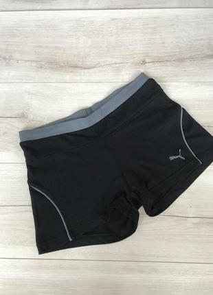 Спортивні шорти puma