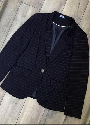 Стильний піджак синій в бордову смужку
