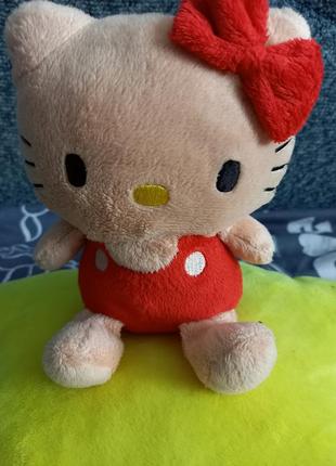 Маленький котик