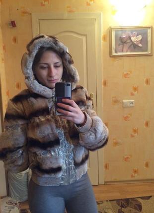 Кожушок шиншила