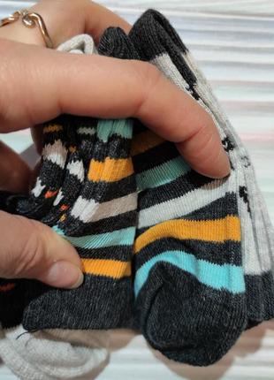 Сіро - чорні шкарпетки з єнотами cool club р. 25-272 фото