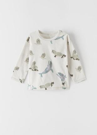 Кофта 24м zara