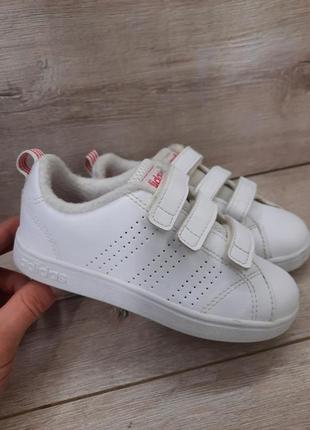 Кросівки adidas