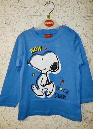 Реглан дисней