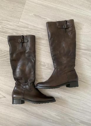 Зимние сапоги ботинки clark’s