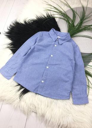 Голубая рубашка на 3 года