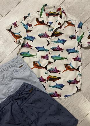 Рубашка некст акулы 7-8 лет