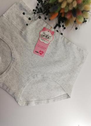 Трусики хлопок сірий меланж на 2xl