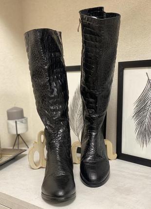 Эффектные сапоги в жокейском стиле рептилия