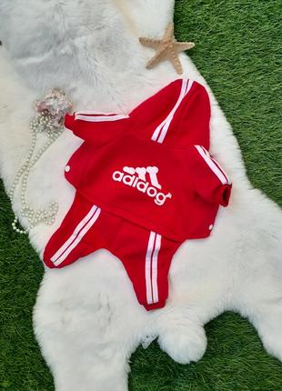🐕🍁 adidog 🐾комбинезон на флисе 💕 яркий для девочки или мальчика с капюшоном