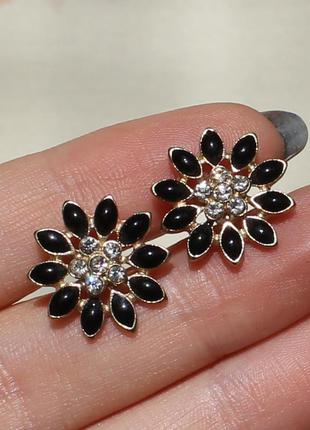 Гвоздики (пуссети) "чорна квітка"